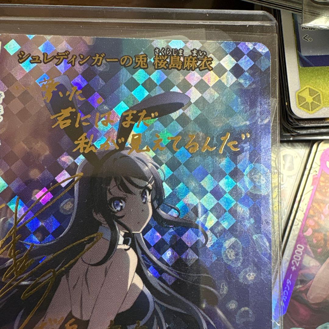 シュレディンガーの兎　桜島麻衣　ビルディバイド