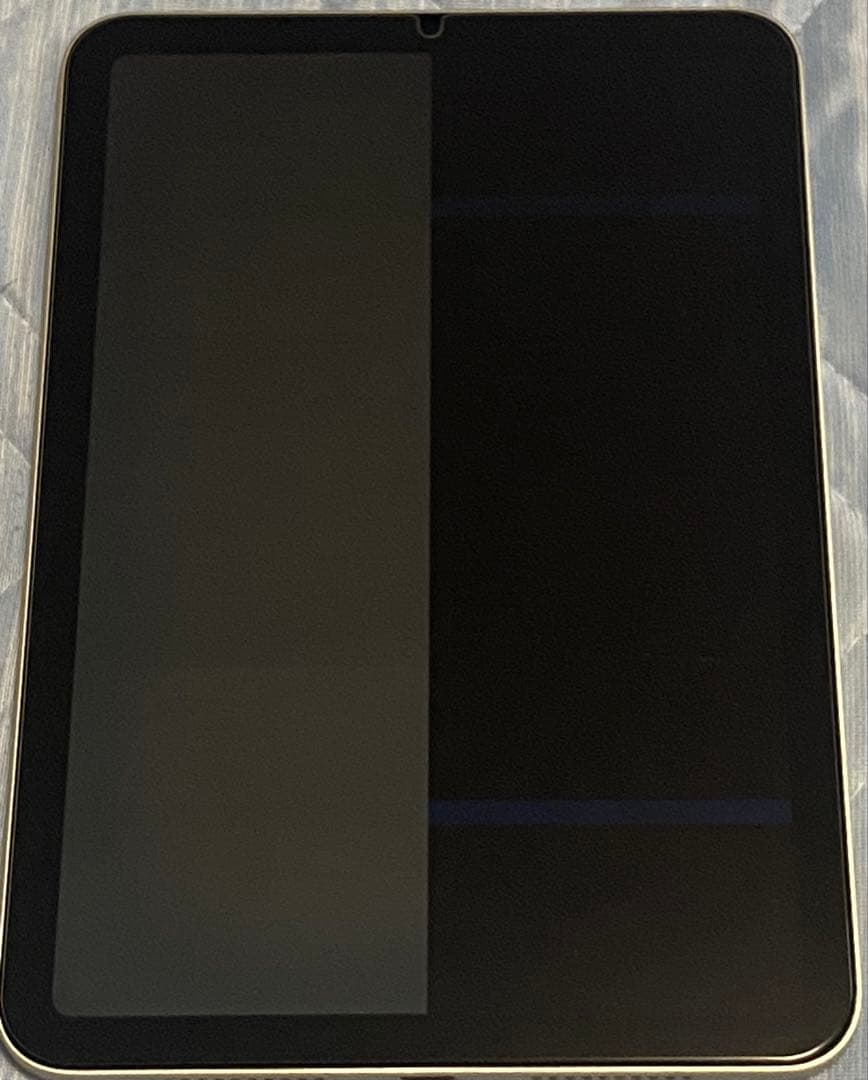 【ジャンク】iPad mini 第6世代 Wi-Fi 256GB スターライト