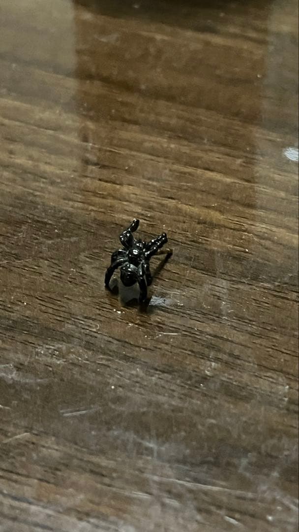 trygod トライゴット　永瀬正敏　クモ型ピアス　片耳用