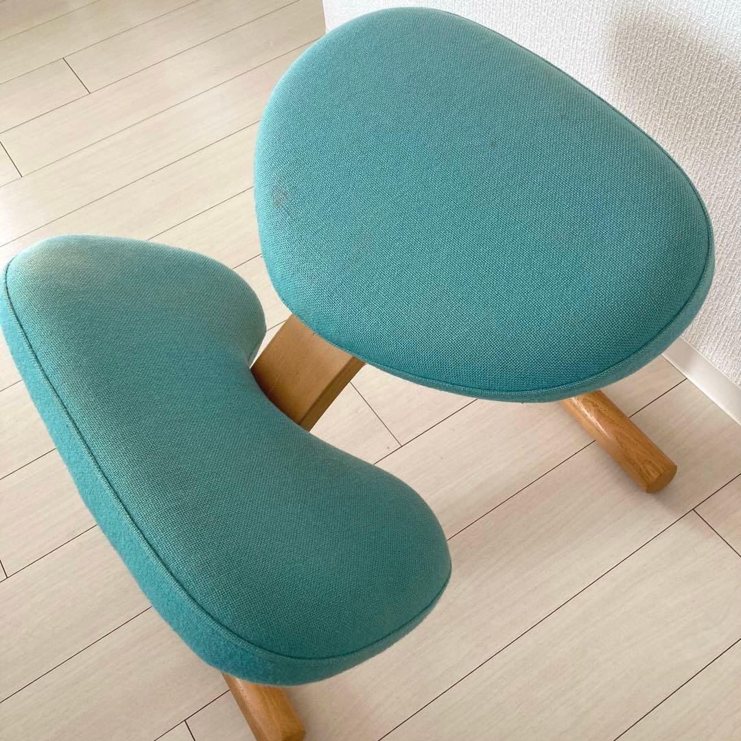 【通販生活】週末限定価格 Rybo社 バランスチェア　ライトグリーン