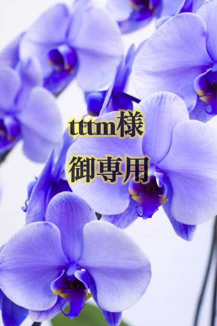 【お値引き受付中】武田双雲　書作品　フレーム、クリスタル付