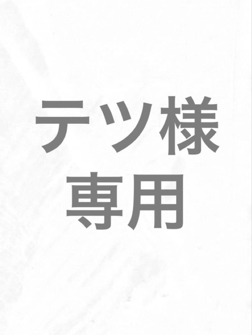 テツ　泥除け　赤　鏡面