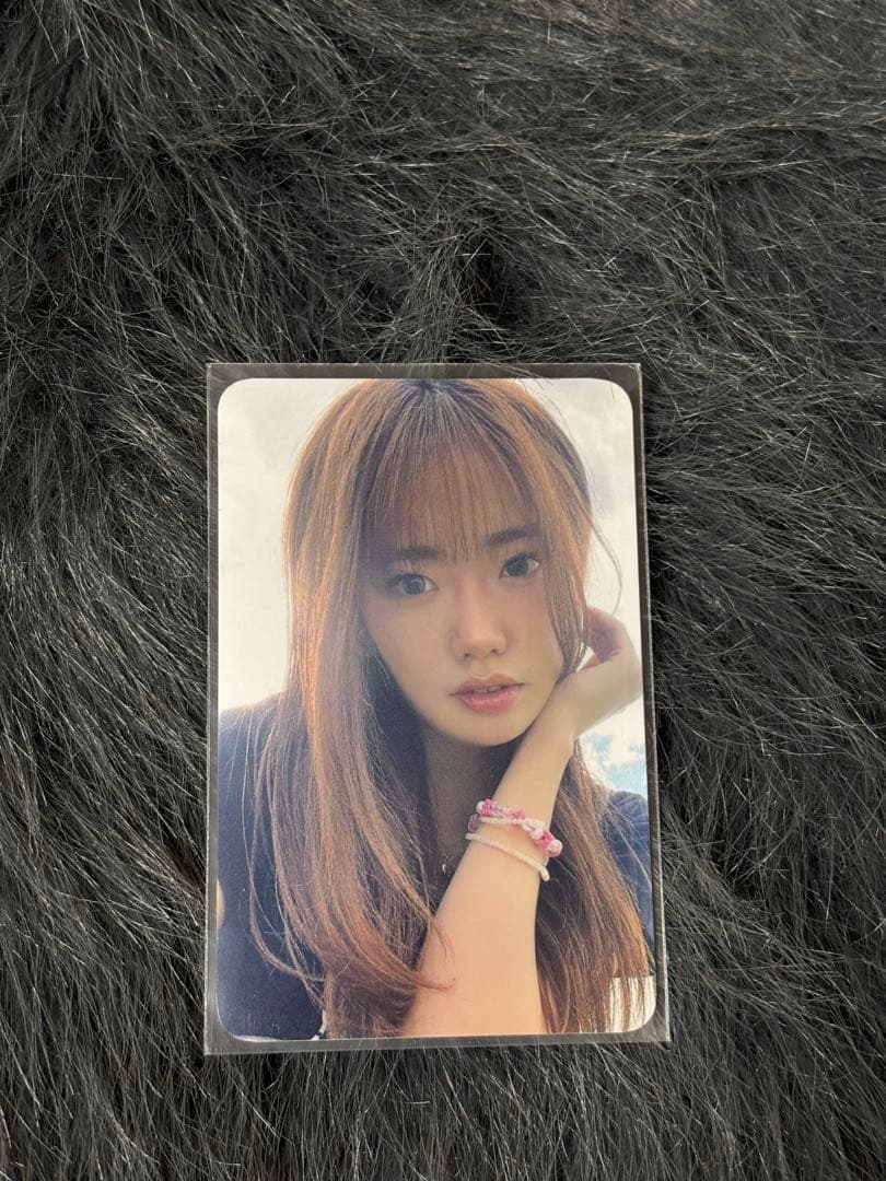 hippopprincess スイン トレカ