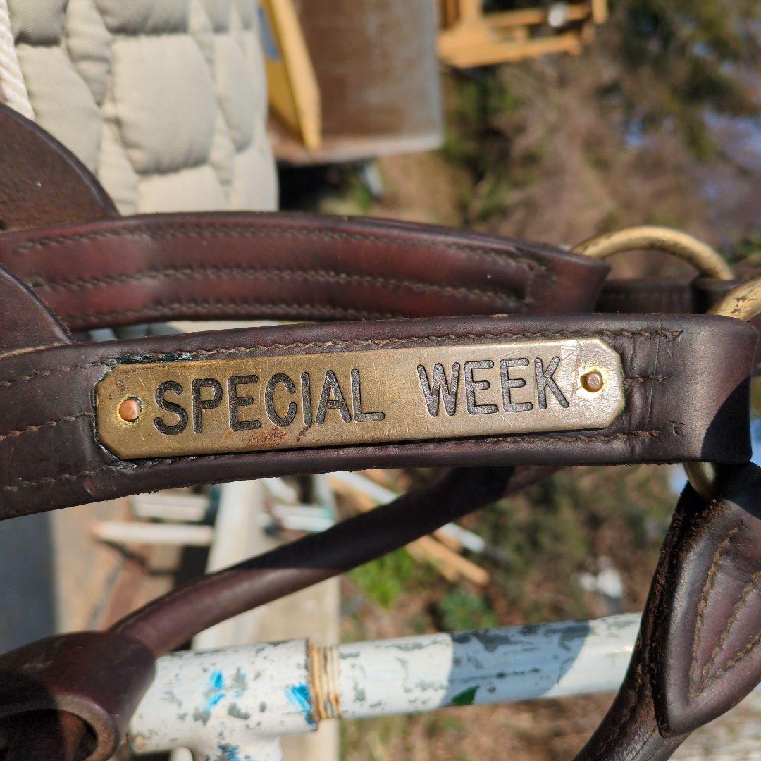 く*ろ様 競走馬　スペシャルウィーク　無口