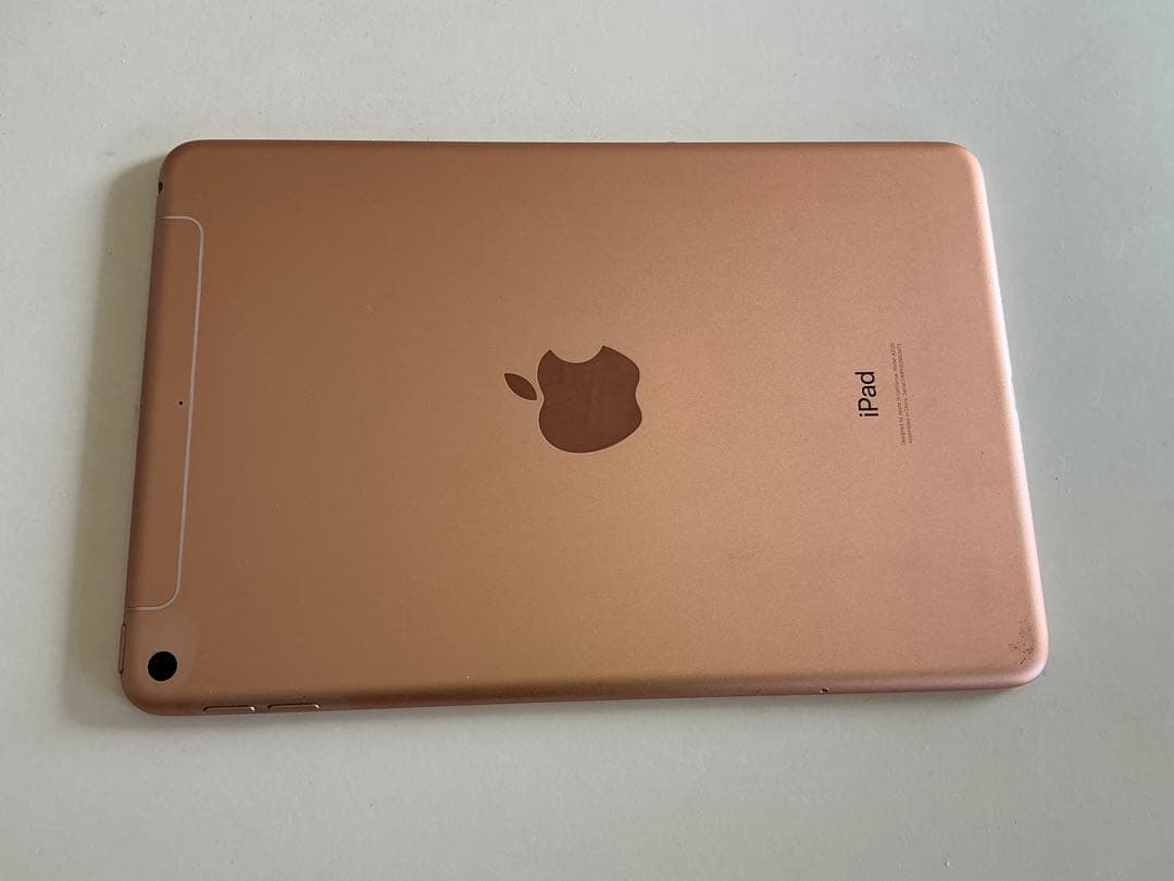 【ジャンク】iPadmini5 本体 A2124 第5世代アイパッドミニ