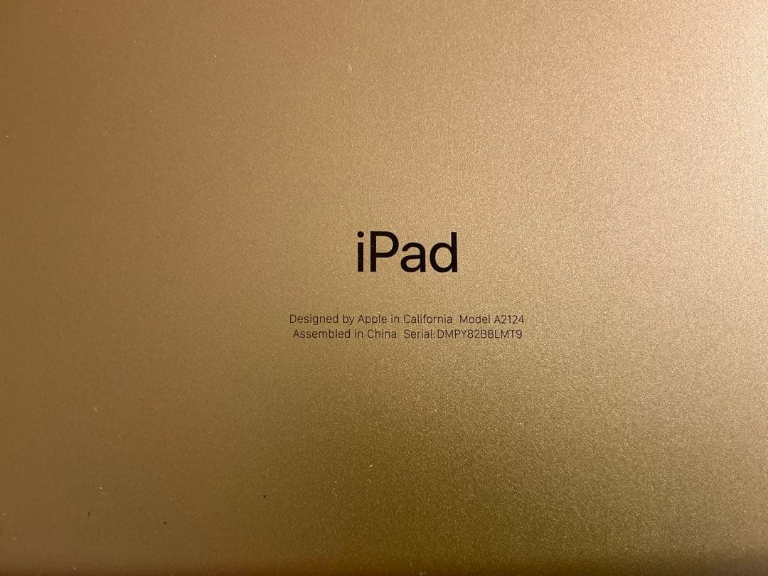 【ジャンク】iPadmini5 本体 A2124 第5世代アイパッドミニ