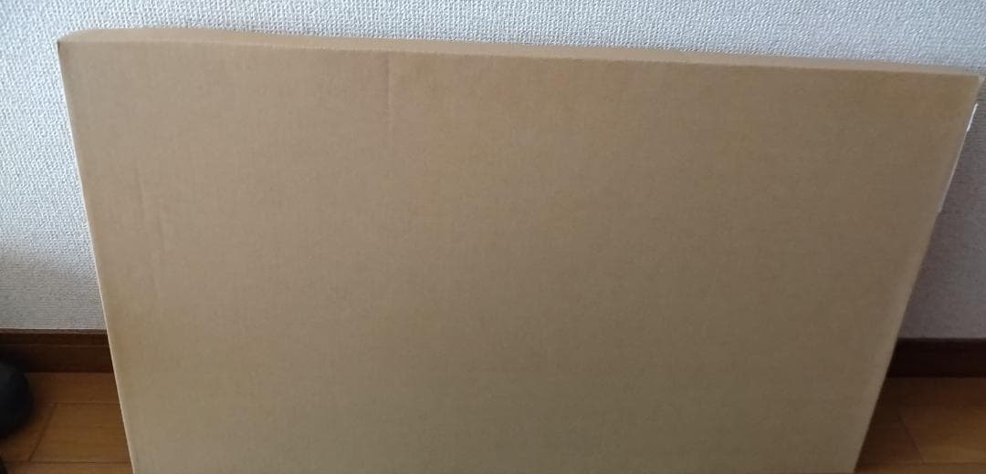 笹倉哲平ポスタ-「サン・ルーに降る雪」デラックス額