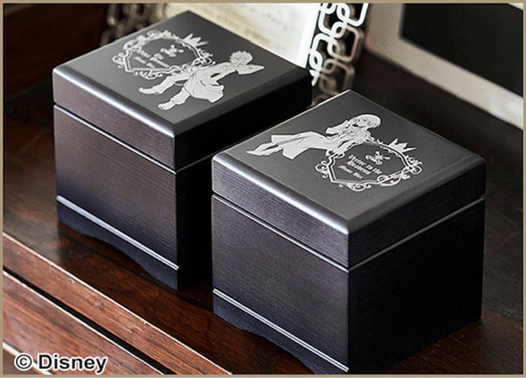 キングダムハーツ オルゴール 2種セット　ロクサス&シオン