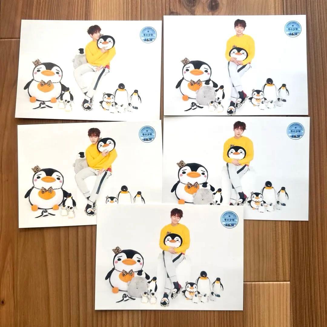 ジュノ 2PM 冬の少年 ランダムトレカ 5枚コンプc