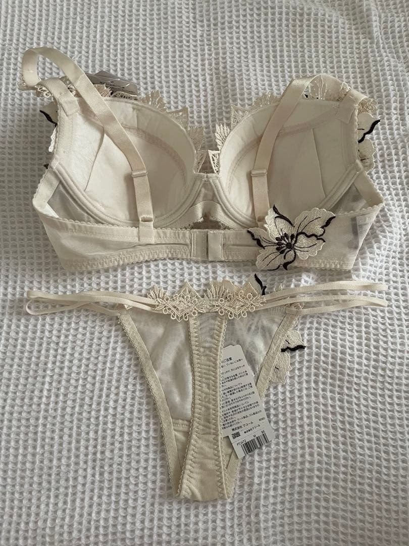 サルート　ブラD70 ソングM 72 ペルー