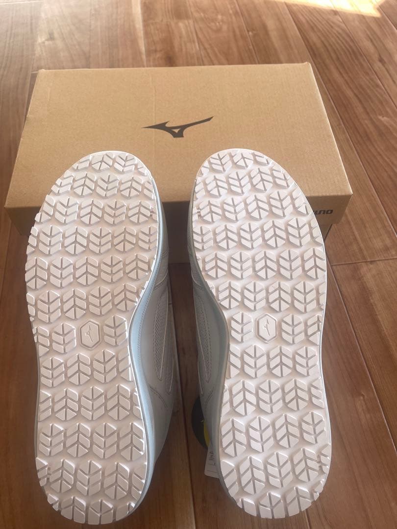 Mizuno Boaシステム シューズ 27.0cm