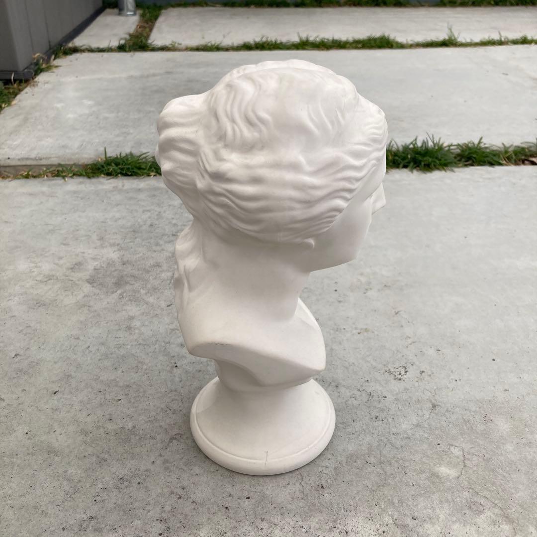 ミロのヴィーナス 胸像 石膏像 顔 美術 スケッチ インテリア 美大受験