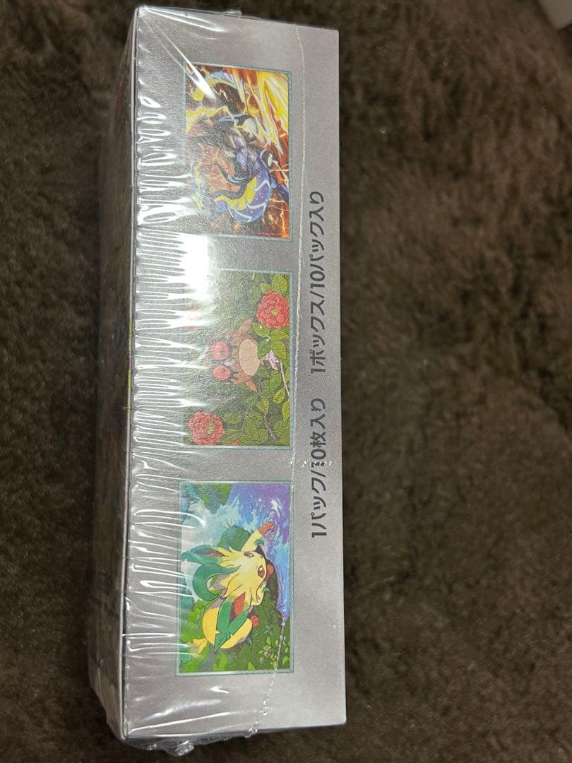 ポケモンカードゲーム テラスタルフェスEX 10パック入り