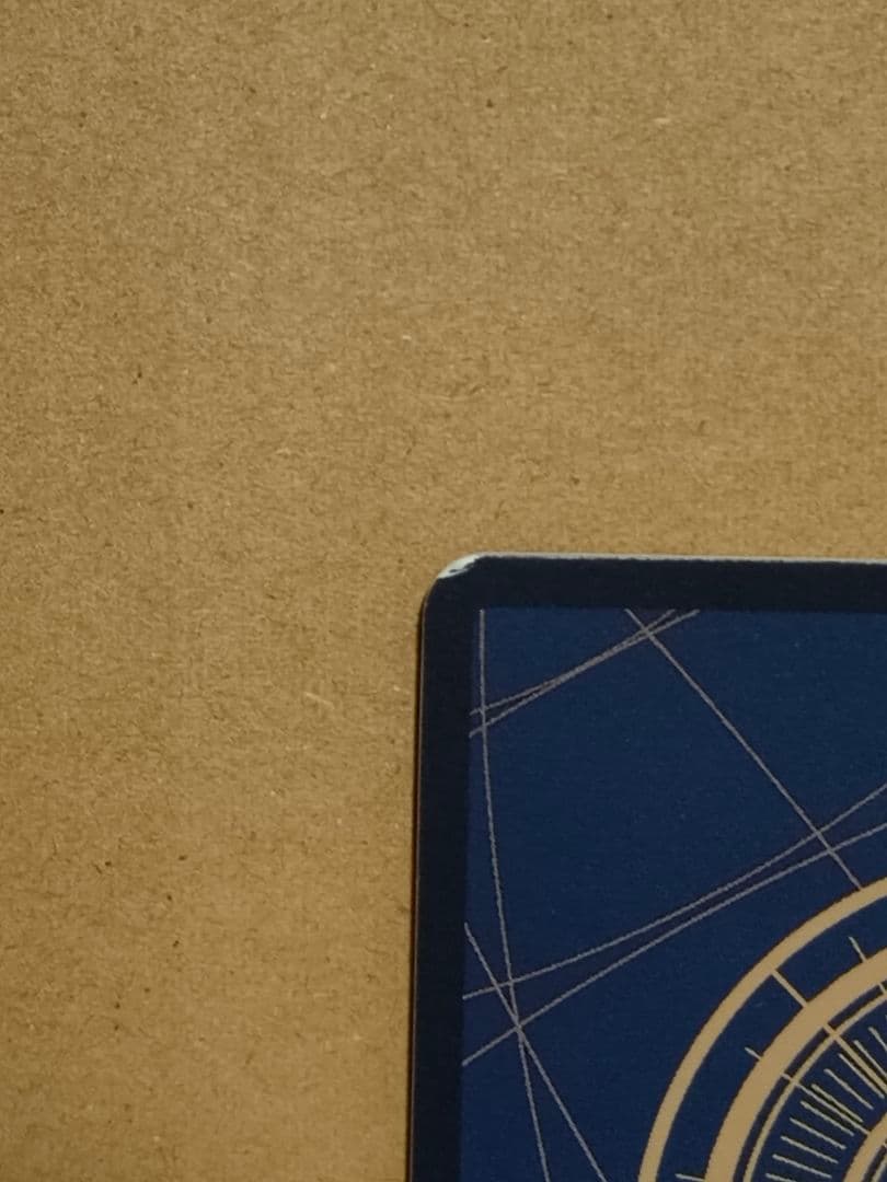 ルフィ SP 手配書