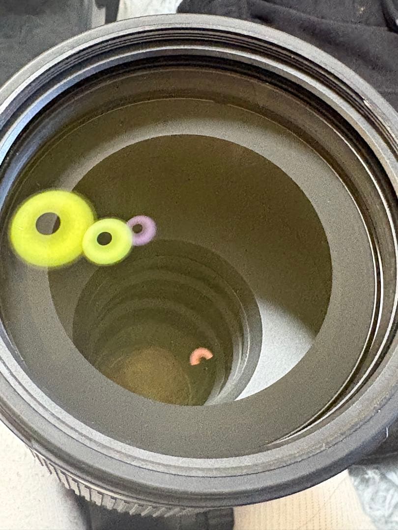 Nikon 望遠レンズ AF-S NIKKOR 200-500mm f/5.6E