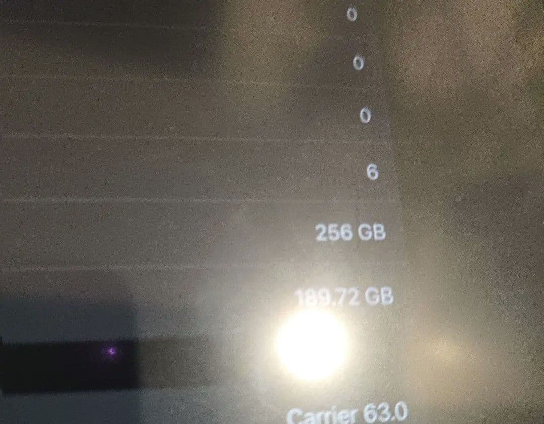 iPad Pro12.9 4世代 256GB セルラー Apple Pencil