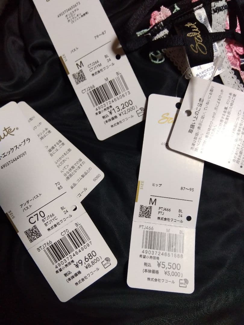 サルート66gリオのカーニバル☆C70＋Mサイズ３点セット