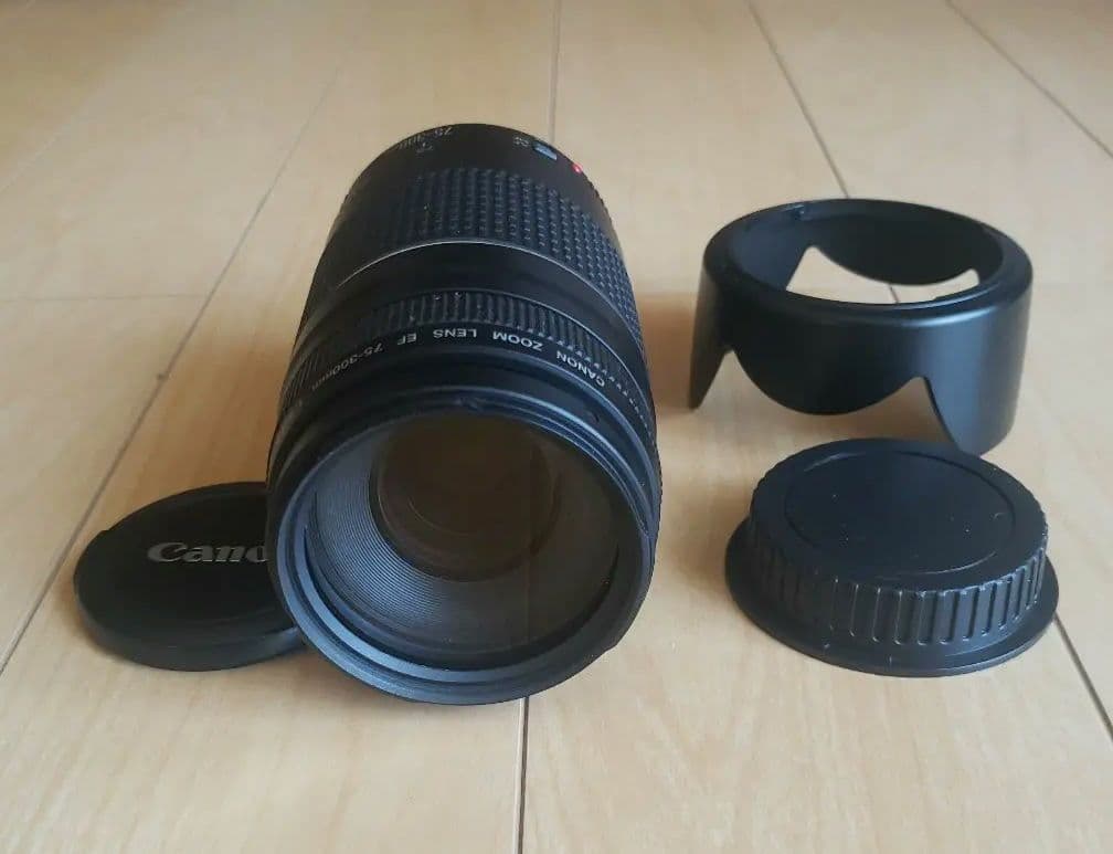 Canon 望遠レンズ EF 75-300mm F4-5.6 Ⅲ