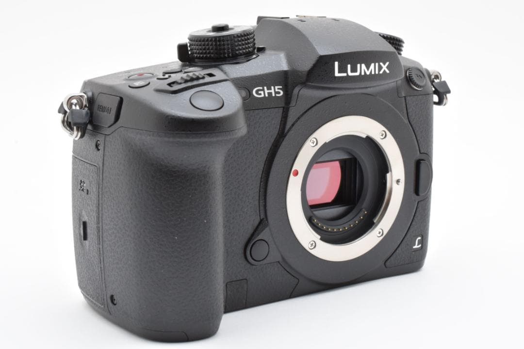 パナソニック Panasonic LUMIX RD-SPM049 (GH5)