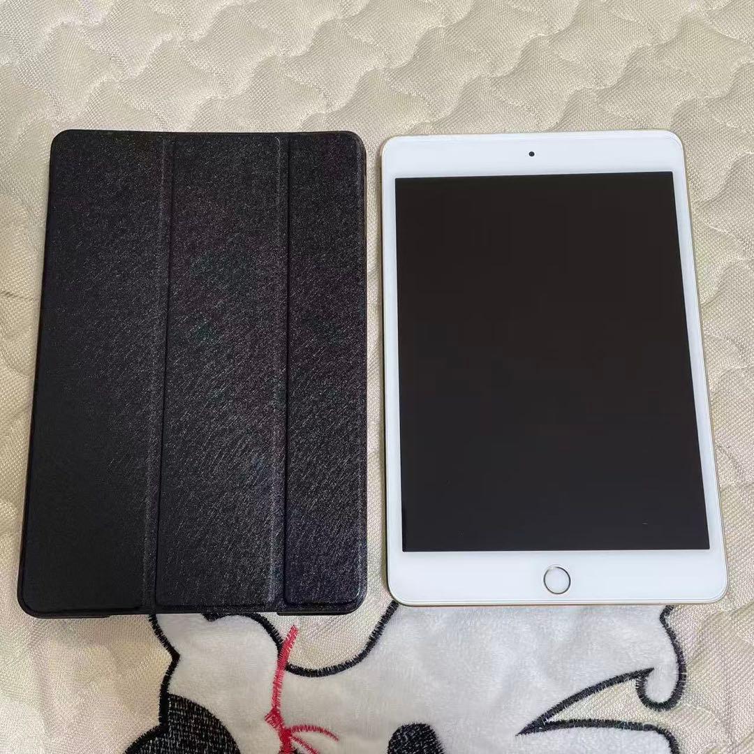 ipad mini 4 コンパクトの7.9 inch　中古品　本体のみ