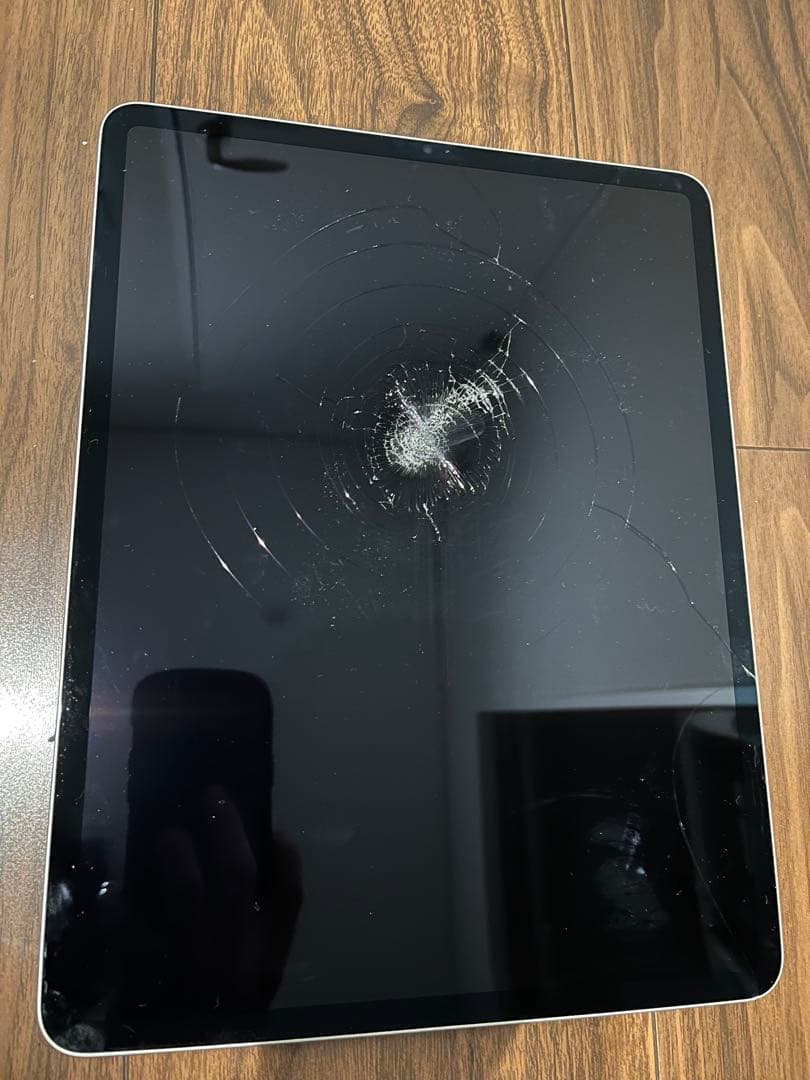 【ジャンク】iPad pro 第五世代　12.9インチ　125GB シルバー