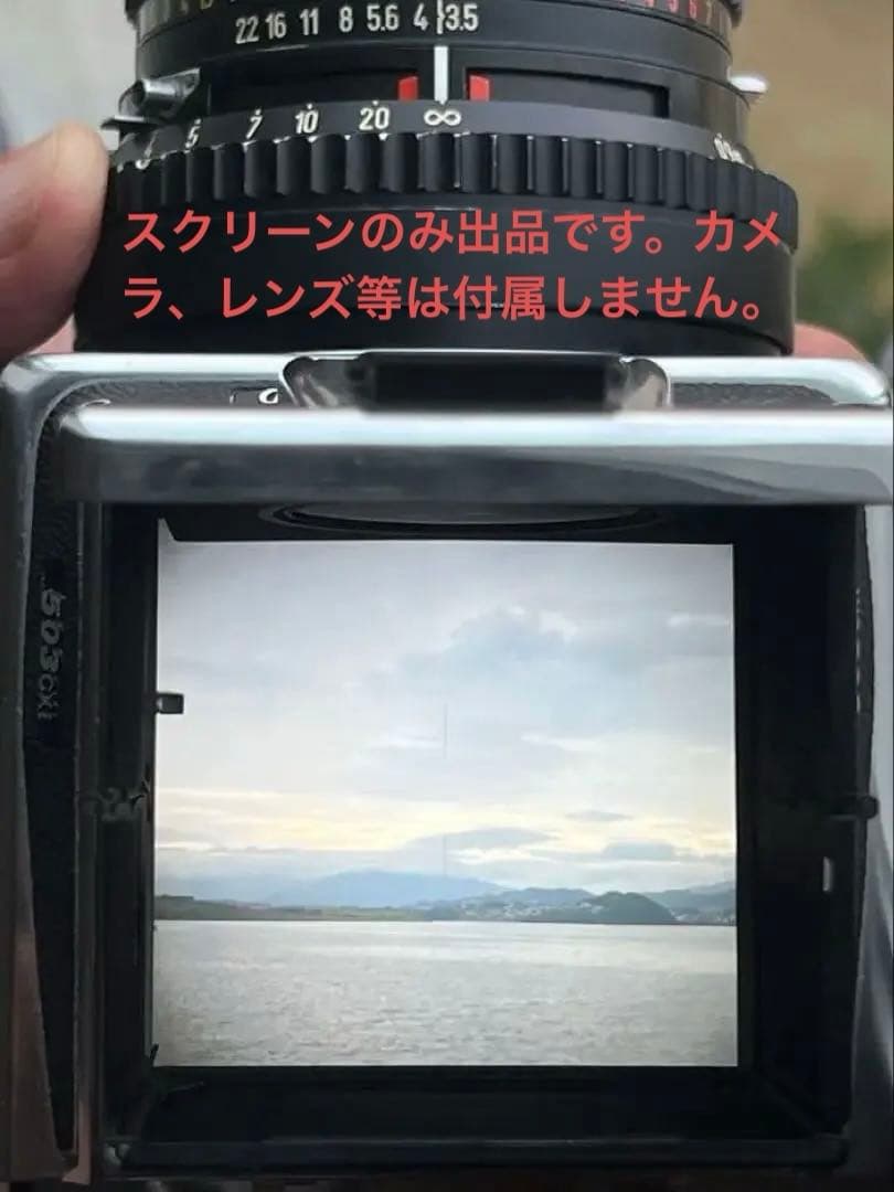 Hasselblad アキュートマット　スクリーン　ハッセル　純正