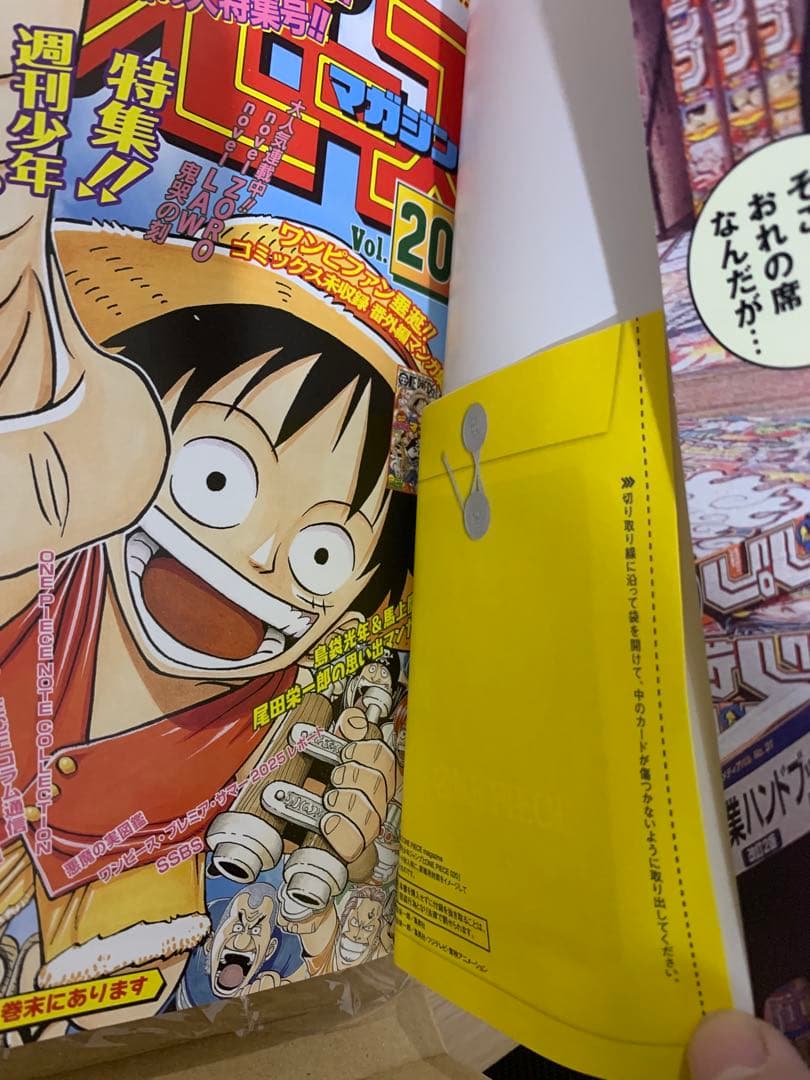 ONE PIECE ワンピースマガジン20号 プロモ付き
