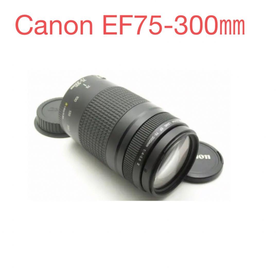 大望遠レンズ/大迫力の300㎜/キヤノン/Canon EF75-300 II