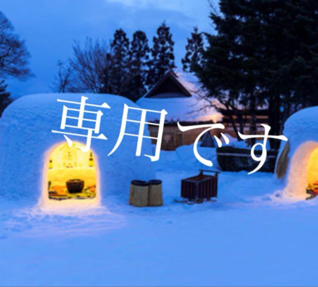 フリークスストア✰︎ M65 加工 ショート ライナー モッズ セット コ－ト