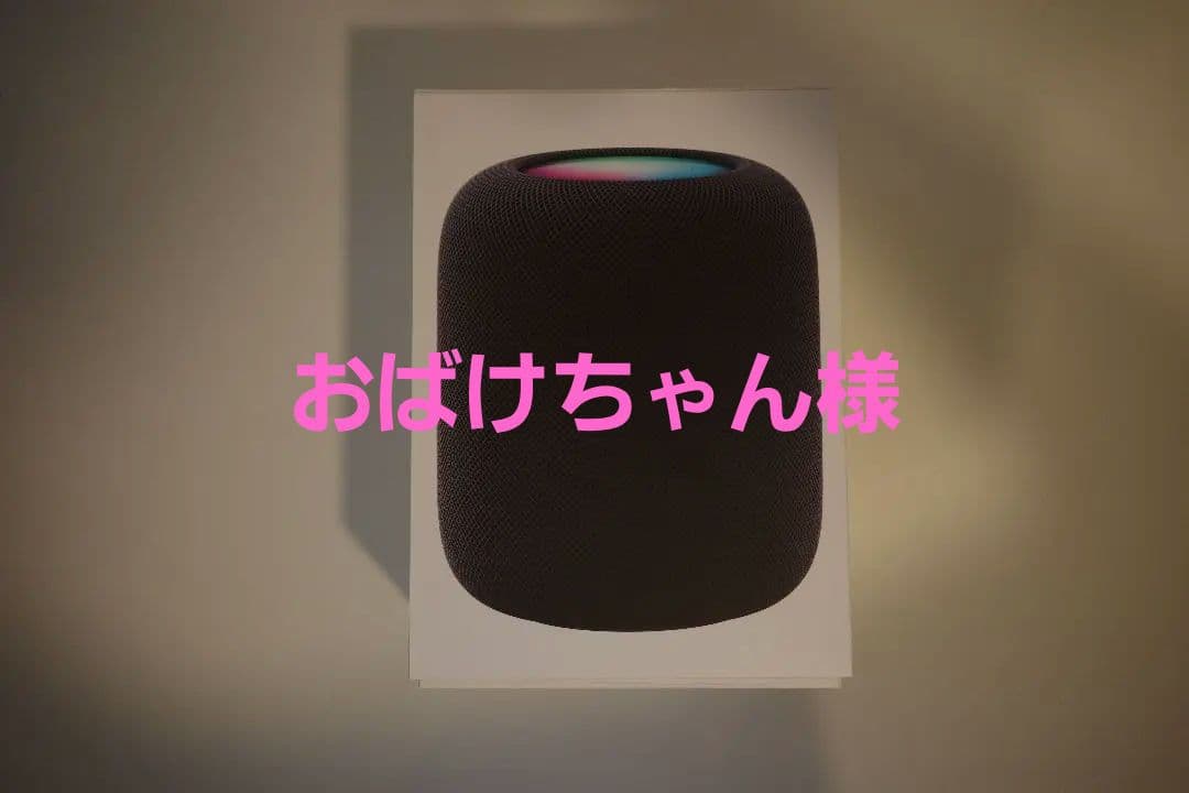 【おばけちゃん様】Apple Pod 第2世代 ミッドナイト ペア