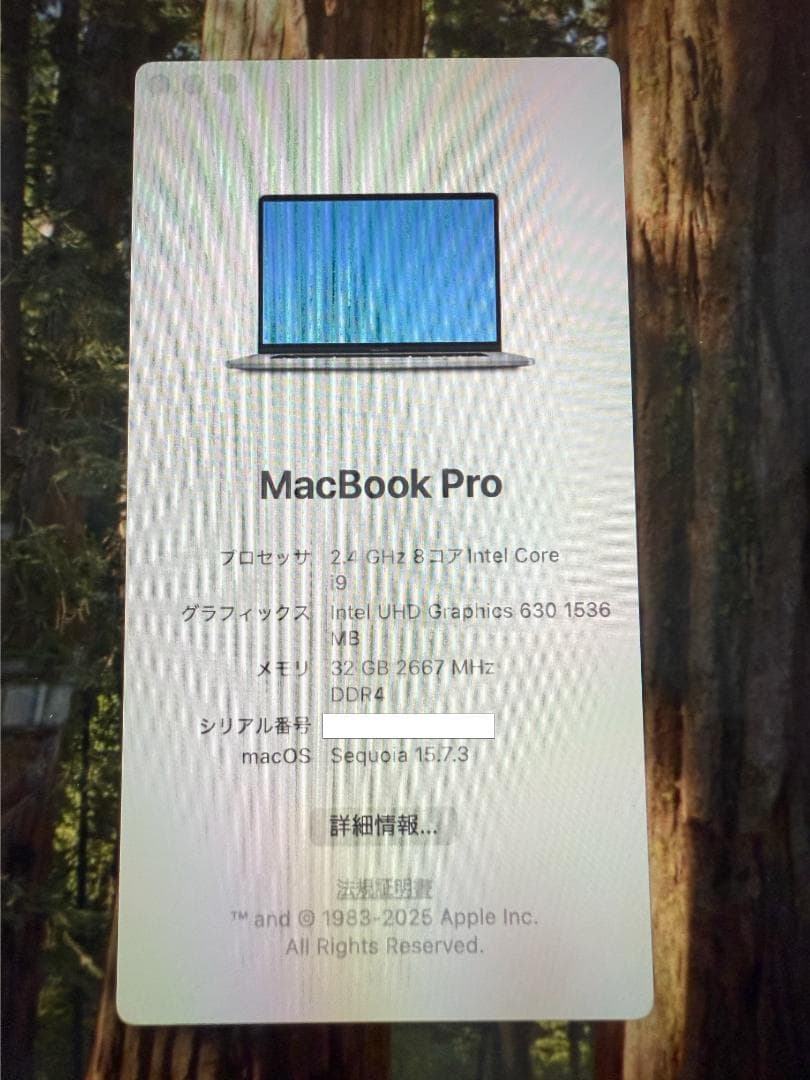 MacBook Pro 16inch 2019 2TB 32GB おまけ付き