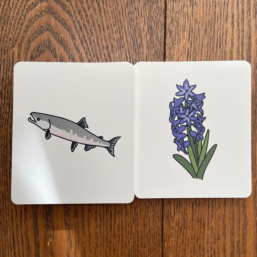 ピグマリオン教材一式(13点)