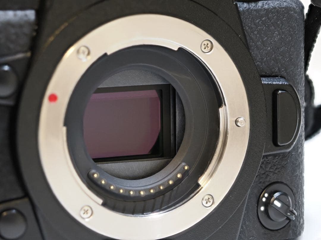 極美品/有料ファームアップ済み！Panasonic LUMIX DC-G9