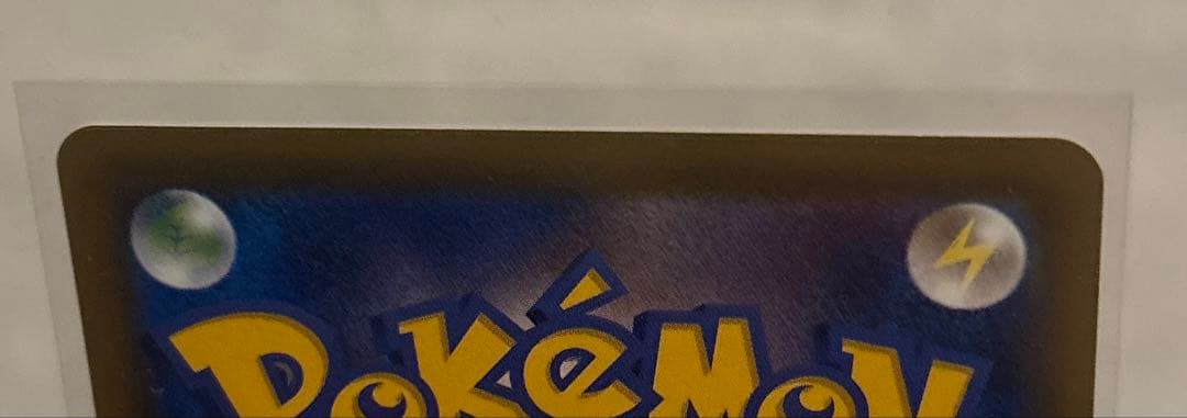 2枚 ピジョットEX＆MピジョットEX SR 20th Anniversary