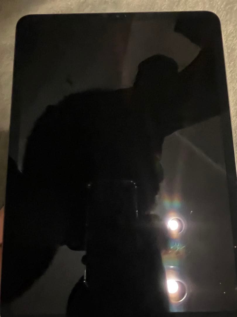 iPadPro11インチ第３世代　256ギガ　ワイハイモデル　スペースグレー