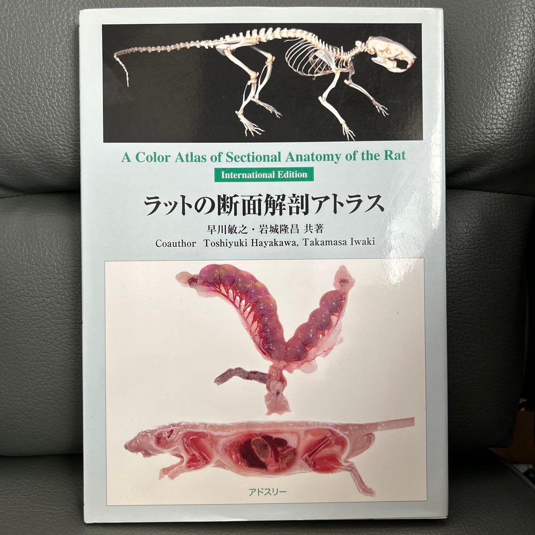 ラットの断面解剖アトラス