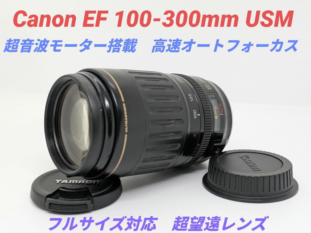 1月27日限定価格♪Canon EF 100-300mm USM