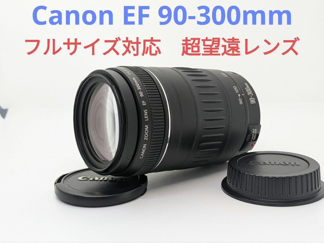 2月18日限定価格♪【超望遠レンズ】Canon EF 90-300mm