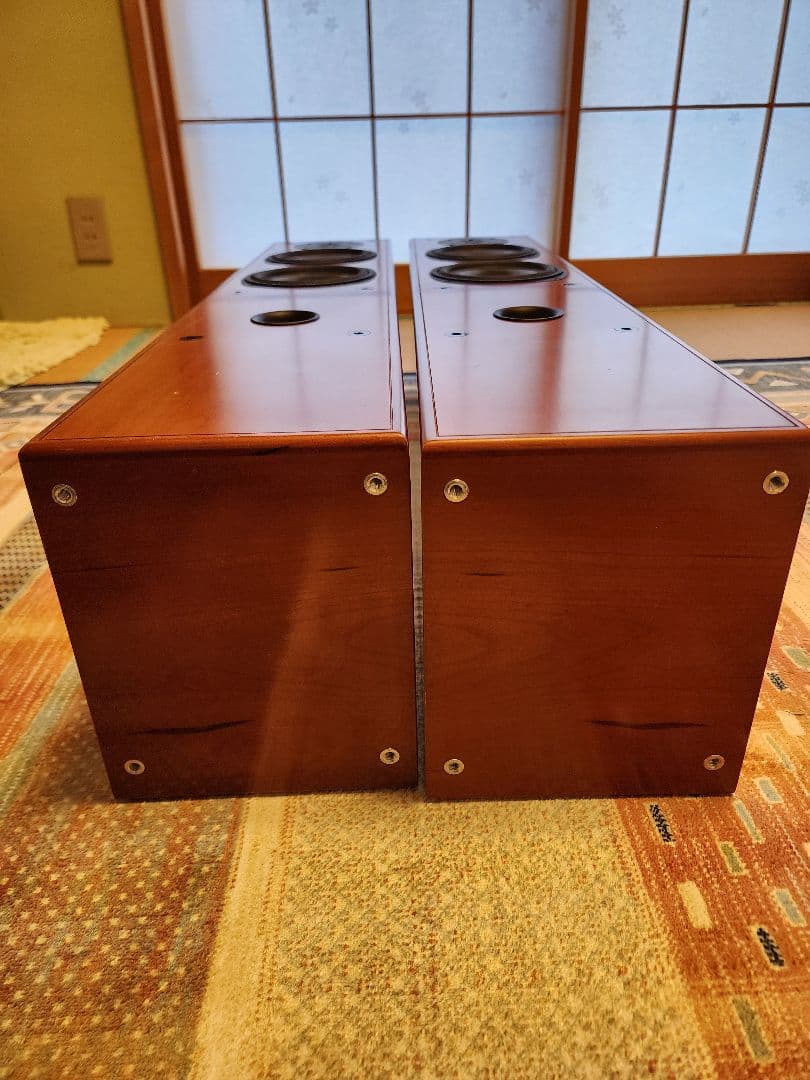 Dali  Tower タワースピーカー