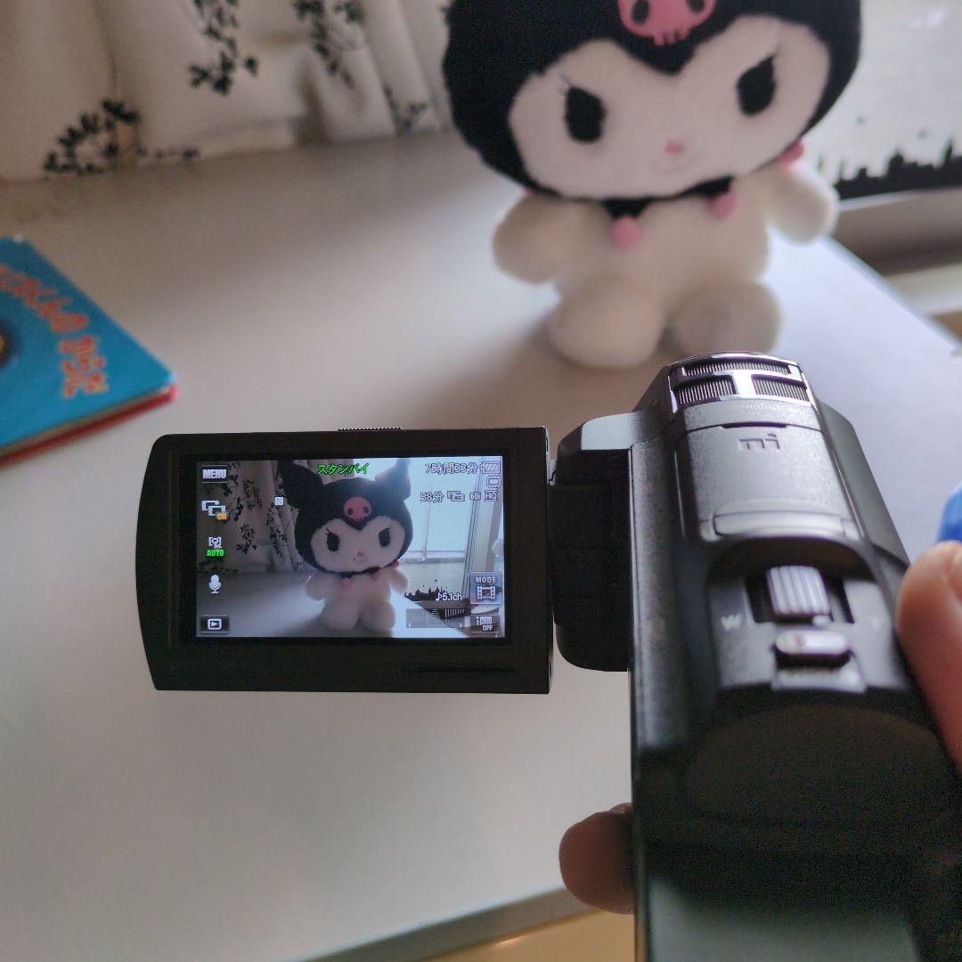 SONY HDR-PJ800 ビデオカメラ 本体（ケース、バッテリーつき）