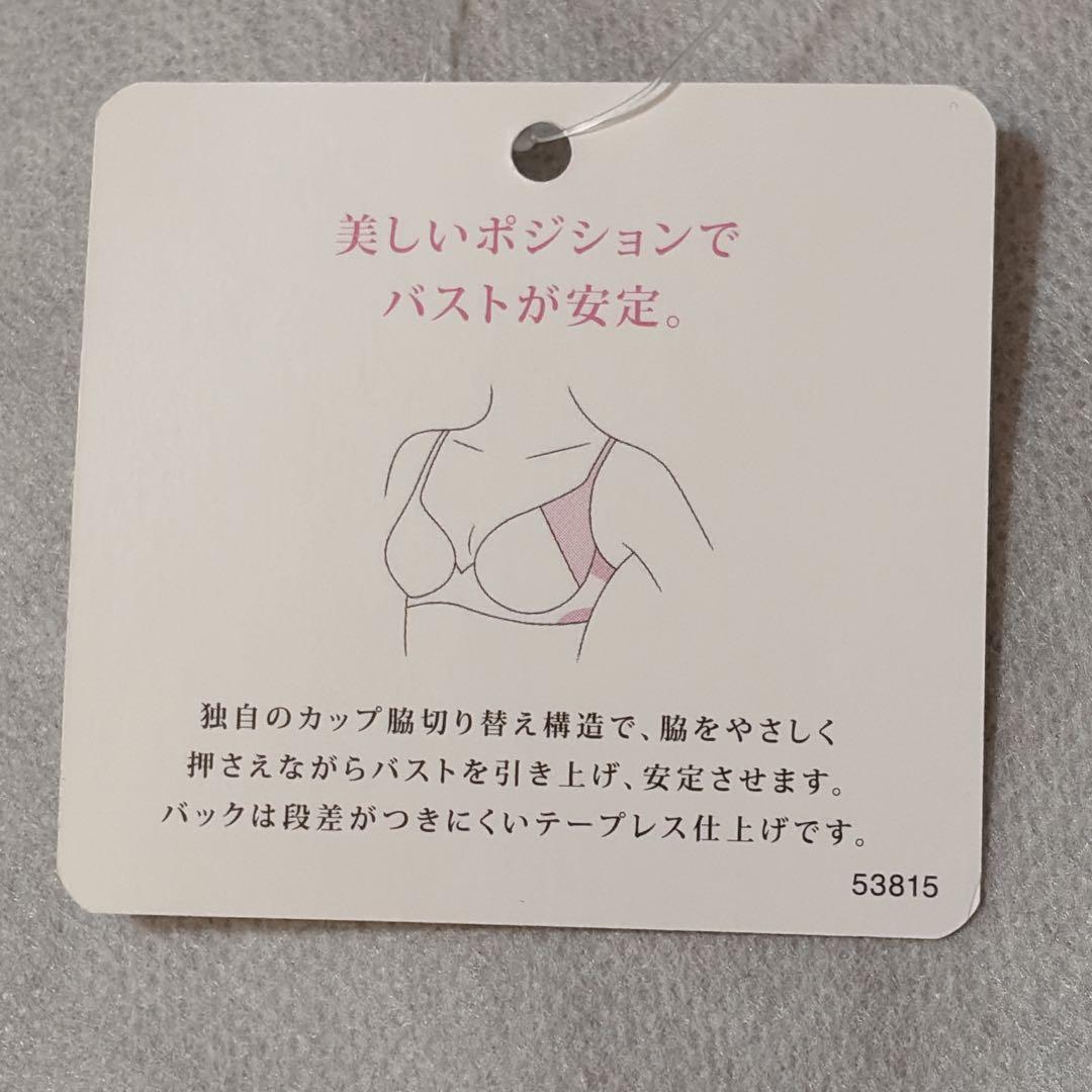 ワコール　パルファージュ　アドマイヤーブラ＆ソング　D65　新品　匿名配送