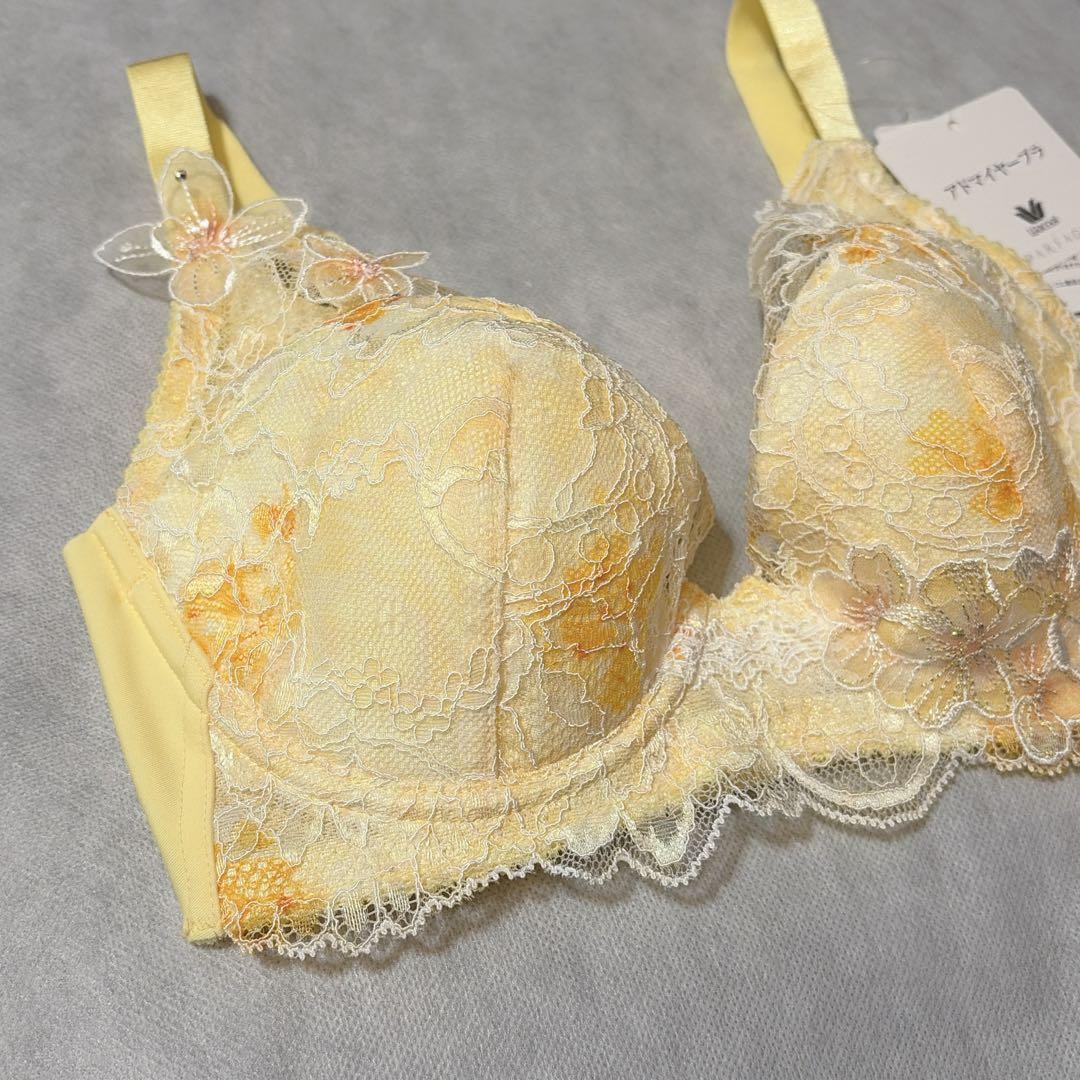 ワコール　パルファージュ　アドマイヤーブラ＆ソング　D65　新品　匿名配送