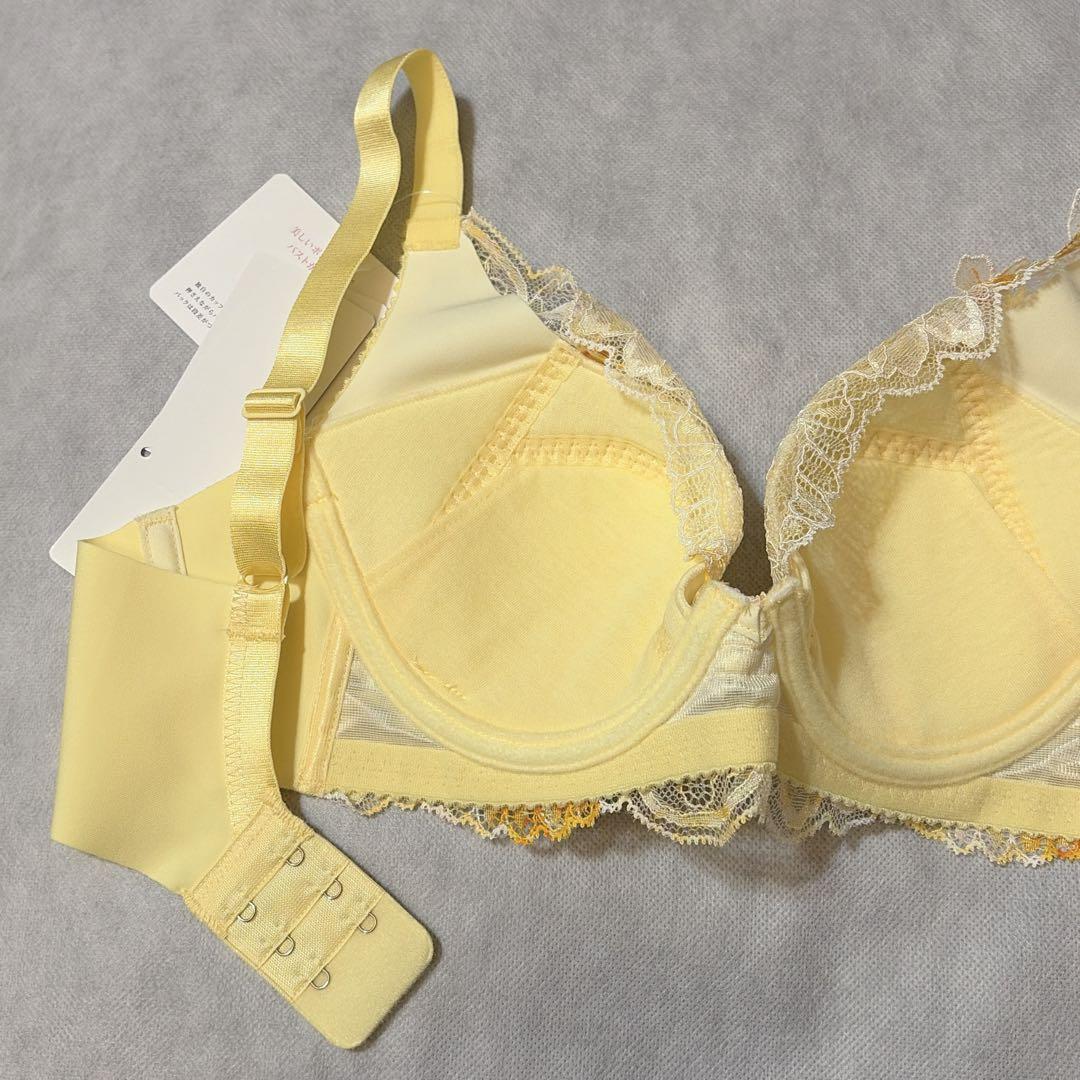 ワコール　パルファージュ　アドマイヤーブラ＆ソング　D65　新品　匿名配送