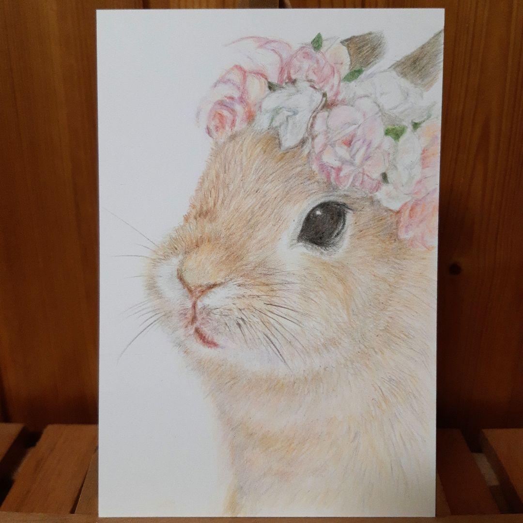 PP様　ご依頼品　色鉛筆画　手描き