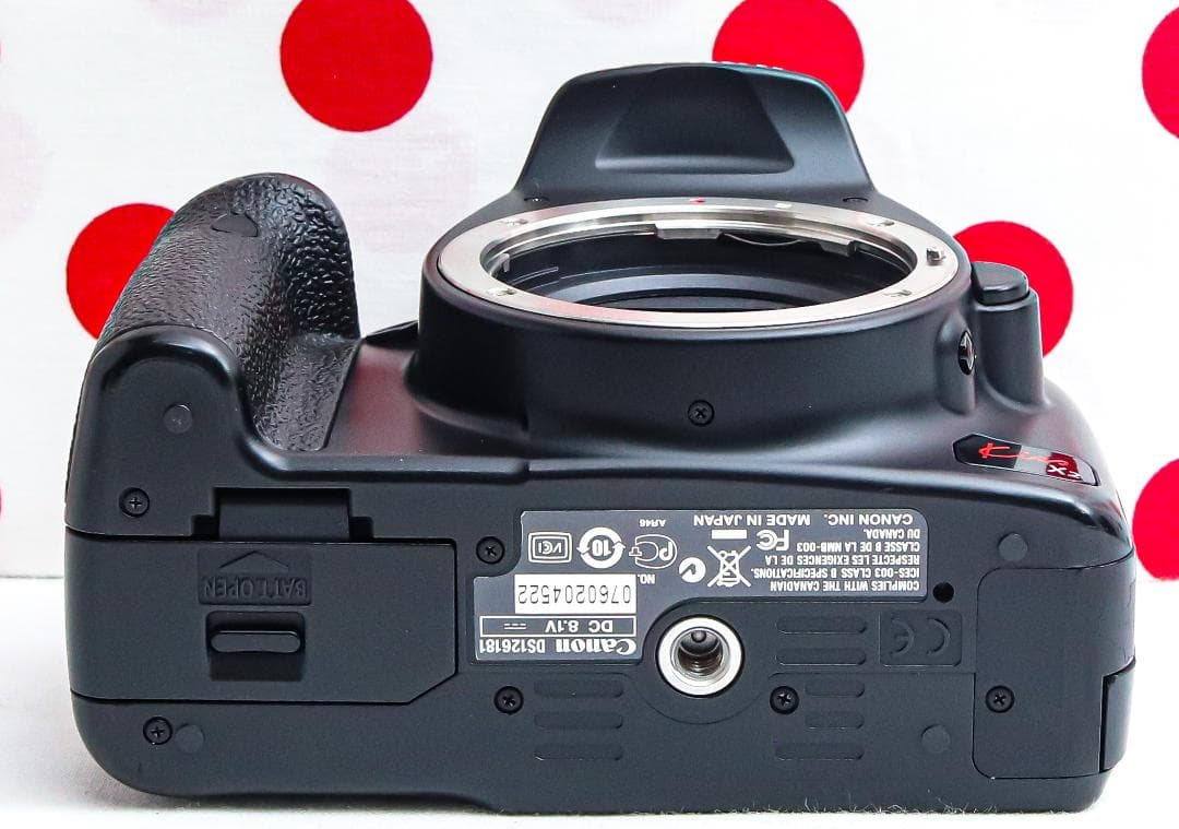 Canon EOS Kiss X2❤ダブルレンズ❤スマホ転送！❤初心者おすすめ！