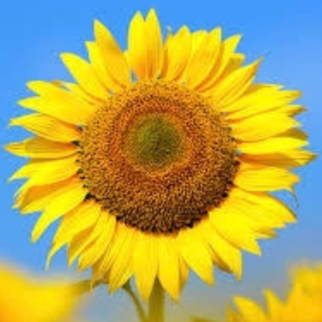 ゆんゆん♡ページ☆