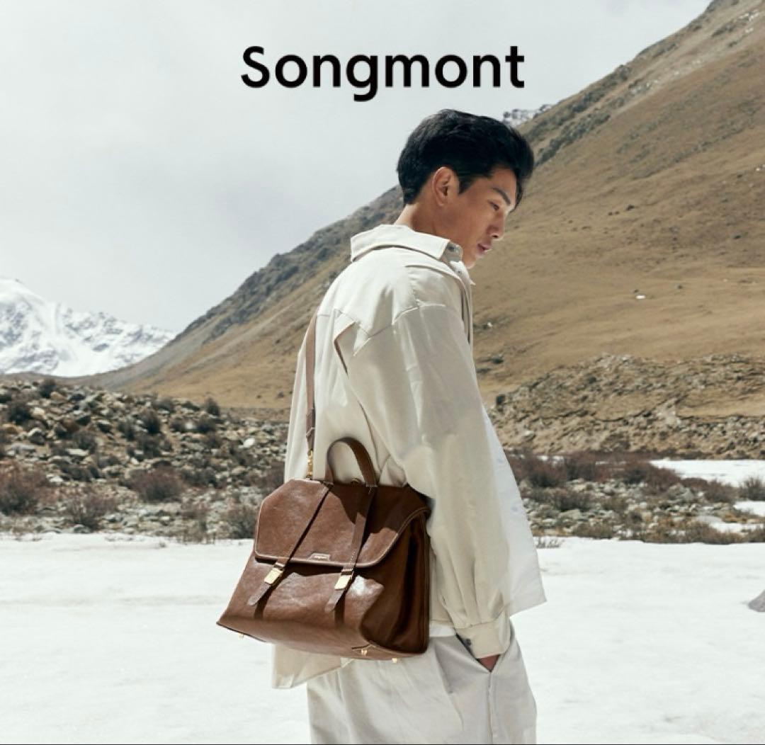 Songmont ブラウン リュック・バックパックL