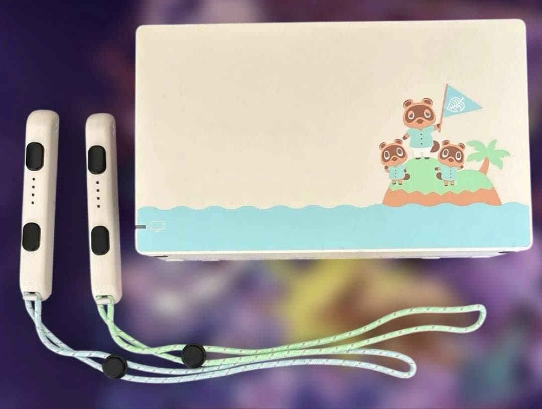 【中古】Nintendo Switch あつまれどうぶつの森セット