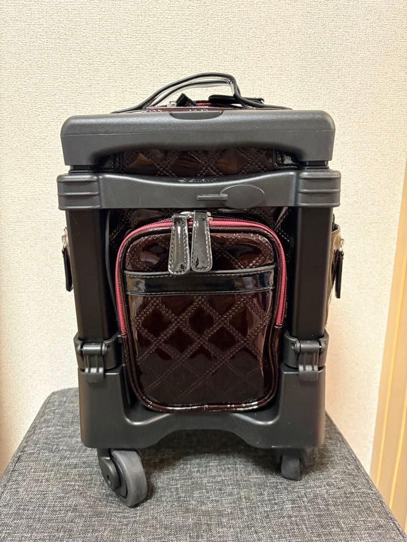 SWANY スワニー　キャリーカート