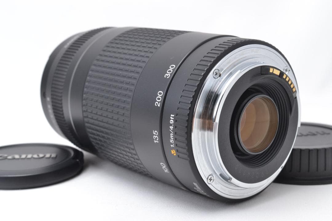 キャノン Canon EF 75-300mm F4-5.6 Ⅱ 望遠レンズ